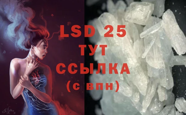 ГАЛЛЮЦИНОГЕННЫЕ ГРИБЫ Богданович