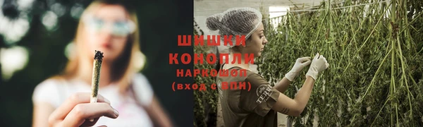 ГАЛЛЮЦИНОГЕННЫЕ ГРИБЫ Богданович