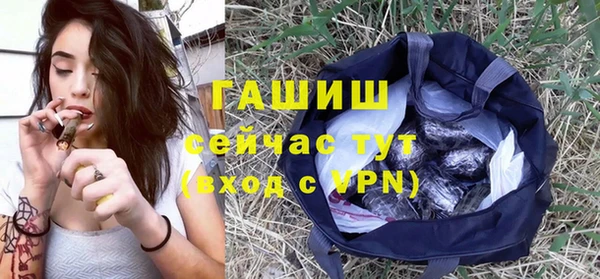 ГАЛЛЮЦИНОГЕННЫЕ ГРИБЫ Богданович