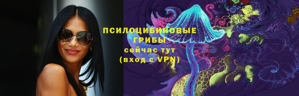 трава Богородицк