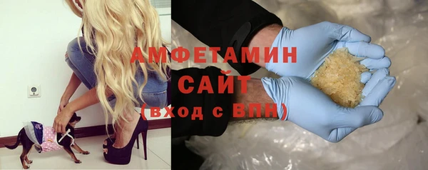 ГАЛЛЮЦИНОГЕННЫЕ ГРИБЫ Богданович