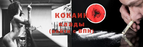 ГАЛЛЮЦИНОГЕННЫЕ ГРИБЫ Богданович