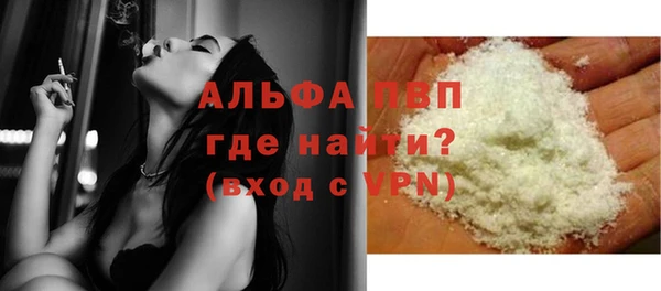 ГАЛЛЮЦИНОГЕННЫЕ ГРИБЫ Богданович