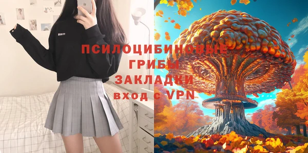 трава Богородицк