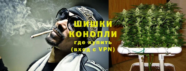 ГАЛЛЮЦИНОГЕННЫЕ ГРИБЫ Богданович