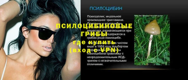 трава Богородицк